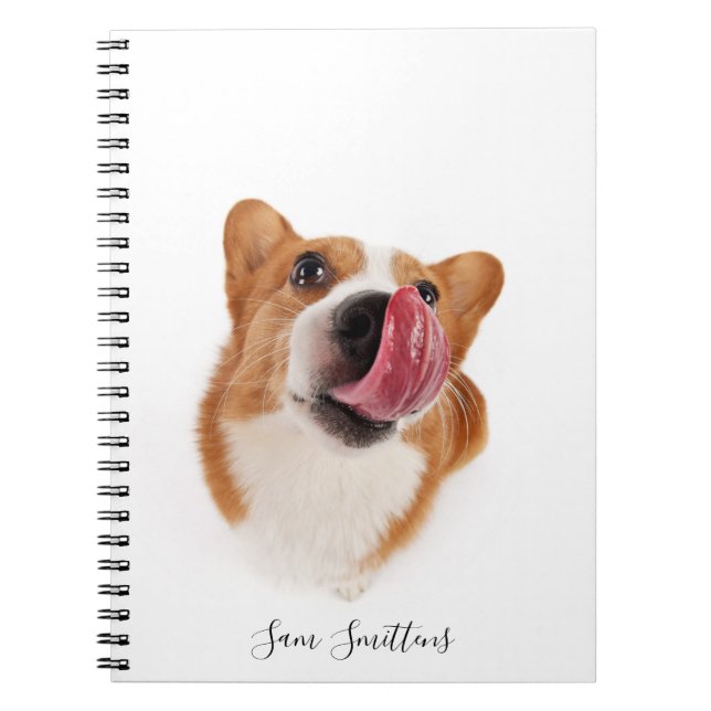 Caderno Espiral Foto personalizada/bonito do Corgi (Frente)