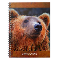 Foto personalizada do Retrato do Urso Castanho