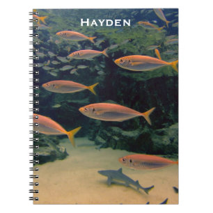 Caderno Espiral Foto personalizada subaquática de peixe rosa