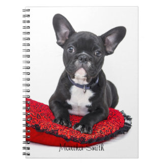 Caderno Espiral Foto preta //do buldogue francês personalizado