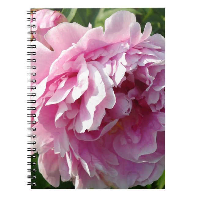 Caderno Espiral Foto rosa de Peony caseiro caseiro caseiro floral (Frente)