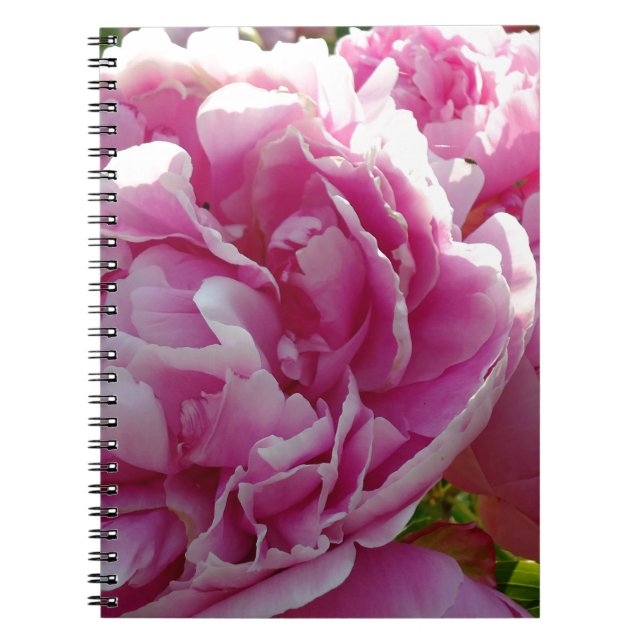 Caderno Espiral Foto rosa de Peony caseiro caseiro caseiro floral (Frente)