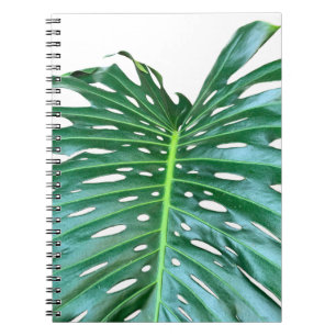 Caderno Espiral Foto verde das folhas de palmeira de Key West