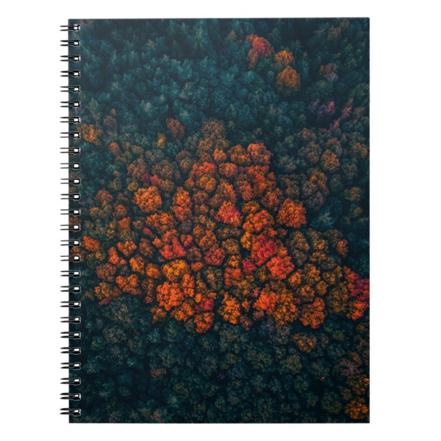 Caderno Espiral Fotografia aérea da floresta (Frente)