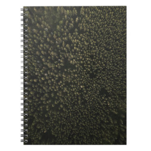 Caderno Espiral Fotografia aérea de árvores verdes altas