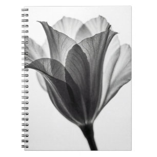 Caderno Espiral Fotografia artística botânica monocromática