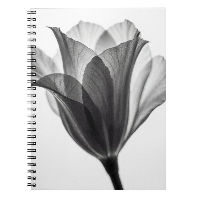 Caderno Espiral Fotografia artística botânica monocromática (Frente)