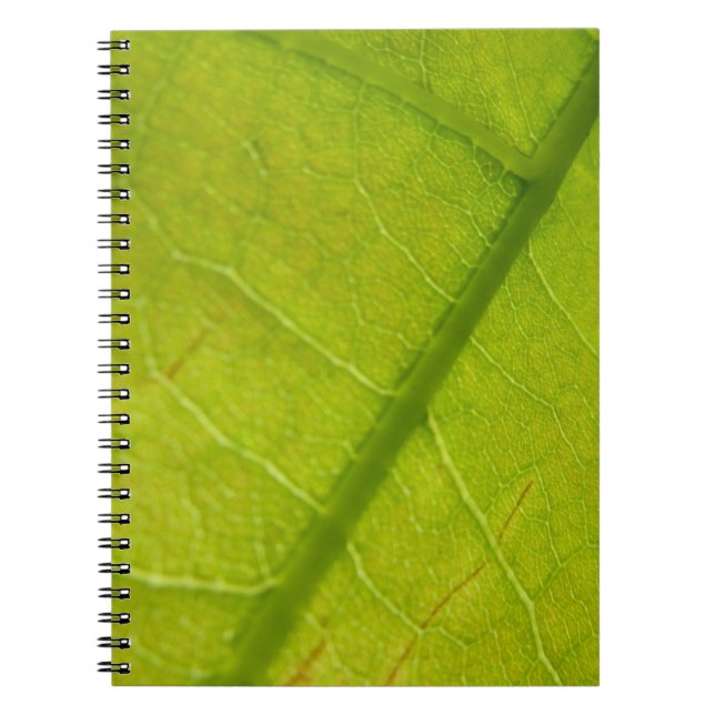 Caderno Espiral Fotografia Botânica de Folha Verde (Frente)
