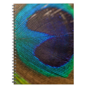 Caderno Espiral Fotografia da pena de pavão