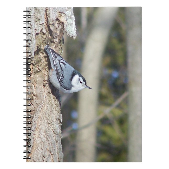 Caderno Espiral Fotografia de aves cinzas (Frente)