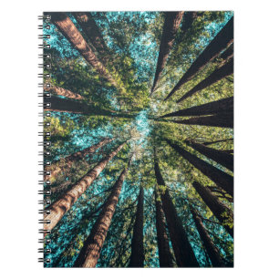 Caderno Espiral Fotografia de baixo ângulo das árvores ao dia