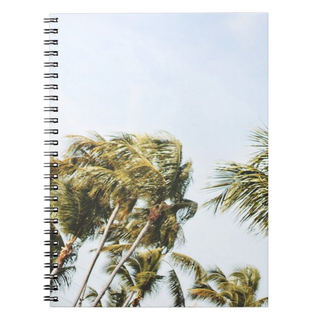 CADERNO ESPIRAL FOTOGRAFIA DE BAIXO ÂNGULO DE ÁRVORES DE COCONUTA  (Frente)