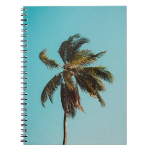 Caderno Espiral Fotografia de baixo ângulo do coco