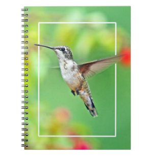 Caderno Espiral Fotografia de Beija-flor