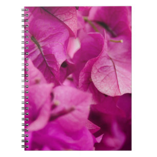 CADERNO ESPIRAL FOTOGRAFIA DE FOCO SELETIVO DA BOUGAINVILLEA DE PI