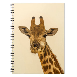 CADERNO ESPIRAL FOTOGRAFIA DE FOCO SELETIVO DE GIRAFFE