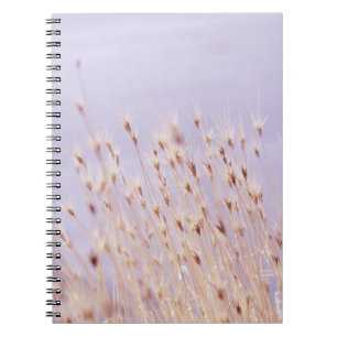 CADERNO ESPIRAL FOTOGRAFIA DE FOCO SELETIVO DO CAMPO DE GRAMA