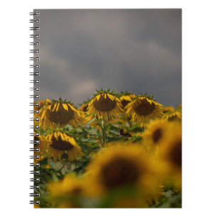 CADERNO ESPIRAL FOTOGRAFIA DE FOCO SELETIVO DOS FLORES AMARELOS D