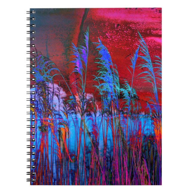 Caderno Espiral Fotografia de Kelly Nickels / Willows & Weeds (Frente)