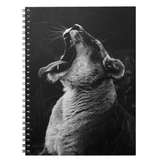 CADERNO ESPIRAL FOTOGRAFIA EM GRAYSCALE DE SONHAGEM (Frente)