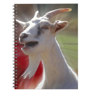 Caderno Espiral Fotografia engraçada da cabra de Tallking