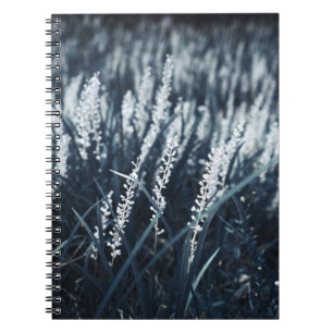 CADERNO ESPIRAL FOTOGRAFIA FECHADA DA PLANTA GREEN