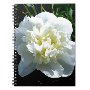 Caderno Espiral Fotografia floral branca de pénia branca Elegante