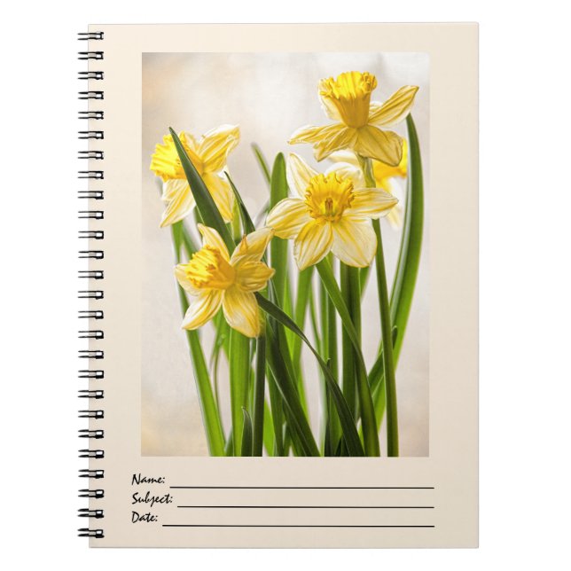Caderno Espiral Fotografia Floral:  Daffodilos Primavera amarelos (Frente)