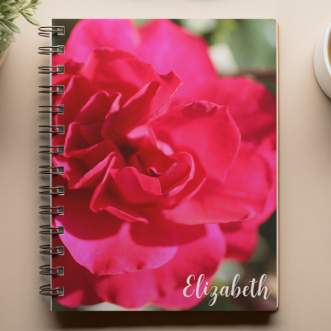 Caderno Espiral Fotografia Floral Elegante Rosa Rosa Personalizada (Criador carregado)