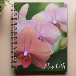Caderno Espiral Fotografia Floral Orquídeas Rosa Elegantes Persona