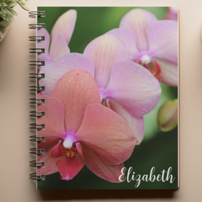 Caderno Espiral Fotografia Floral Orquídeas Rosa Elegantes Persona (Criador carregado)