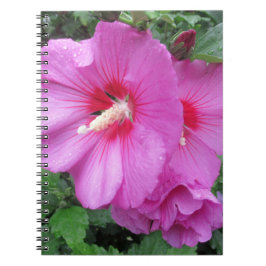 Caderno Espiral Fotografia Floral Rosa