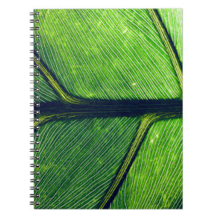 Caderno Espiral Fotografia macro de folha verde