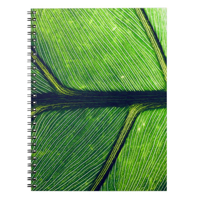 Caderno Espiral Fotografia macro de folha verde (Frente)