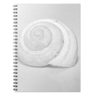 Caderno Espiral Fotografia Minimalista da Natureza de Concha de Ca