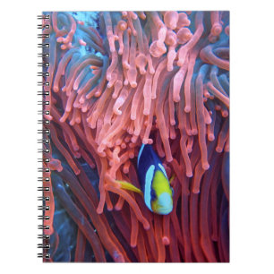 Caderno Espiral Fotografia náutica marinha aquática