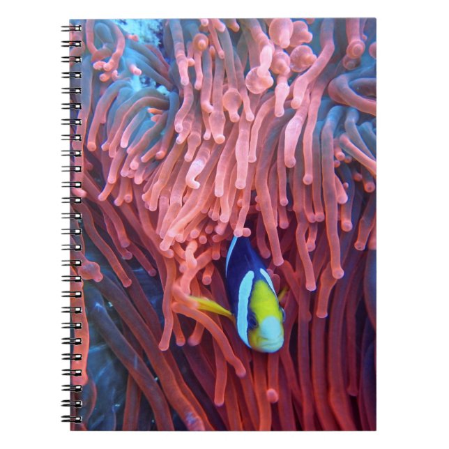 Caderno Espiral Fotografia náutica marinha aquática (Frente)