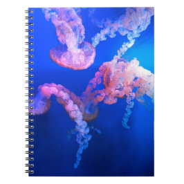 Caderno Espiral Fotografia náutica marinha aquática