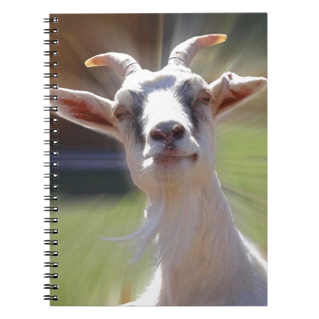 Caderno Espiral Fotografia parva de BillyGoat (Frente)