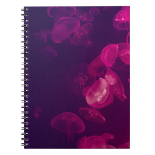 CADERNO ESPIRAL FOTOGRAFIA SUBÁGUA DO PEIXE-DE-BEIJA