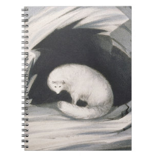 Caderno Espiral Fox ártico, 'da narrativa de uma segunda viagem
