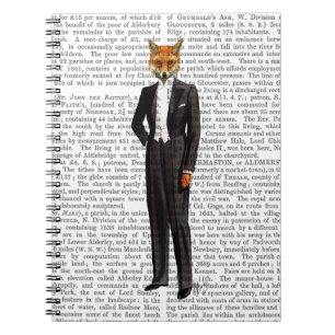 Caderno Espiral Fox Em Cheio Noturno