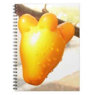 Caderno Espiral Fox Face Fruta