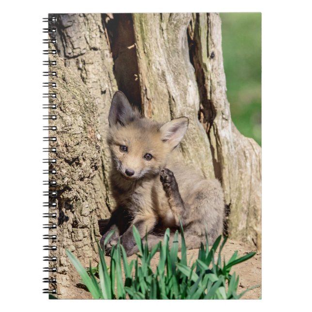 Caderno Espiral Fox Kit no Vale do Hudson (Frente)