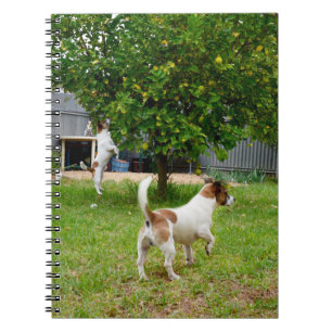 Caderno Espiral Fox Terrier Pulando Em Uma Árvore,