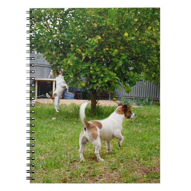Caderno Espiral Fox Terrier Pulando Em Uma Árvore, (Frente)