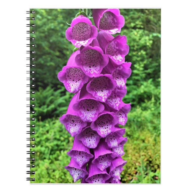 Caderno Espiral Foxglove Flowers, Oregon (Frente)