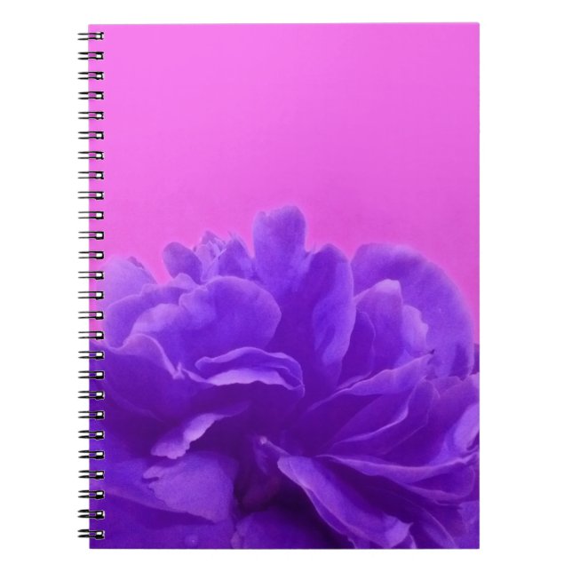 Caderno Espiral Framboesa Roxa Elegante (Frente)
