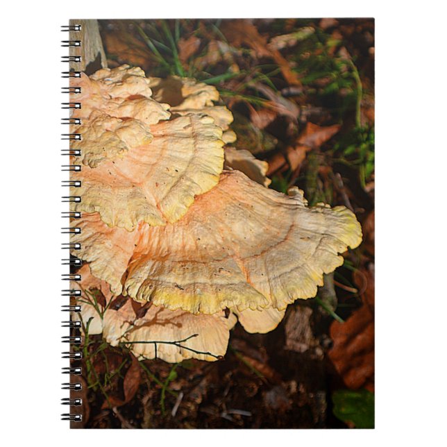 Caderno Espiral Frango do Woods Mushroom Notebook (Frente)