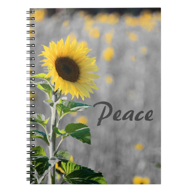 Caderno Espiral Frase "Paz", Campo de Girassóis, Preto e Branco (Frente)